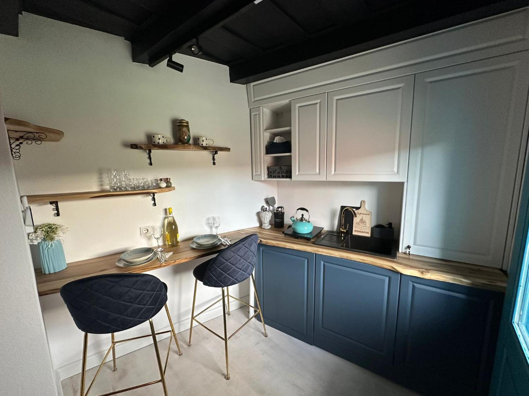 Blue House Citadel Sighisoara Apartment Ngoại thất bức ảnh